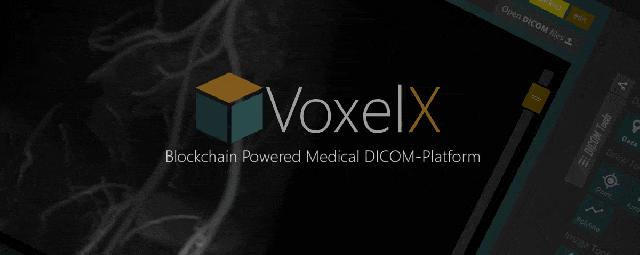 Hasil gambar untuk VoxelX logo